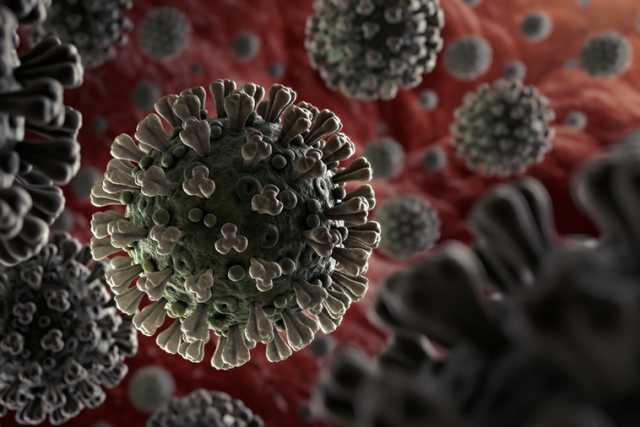 Coronavirus: in Puglia 48 nuovi casi, ma manca il dato di Foggia